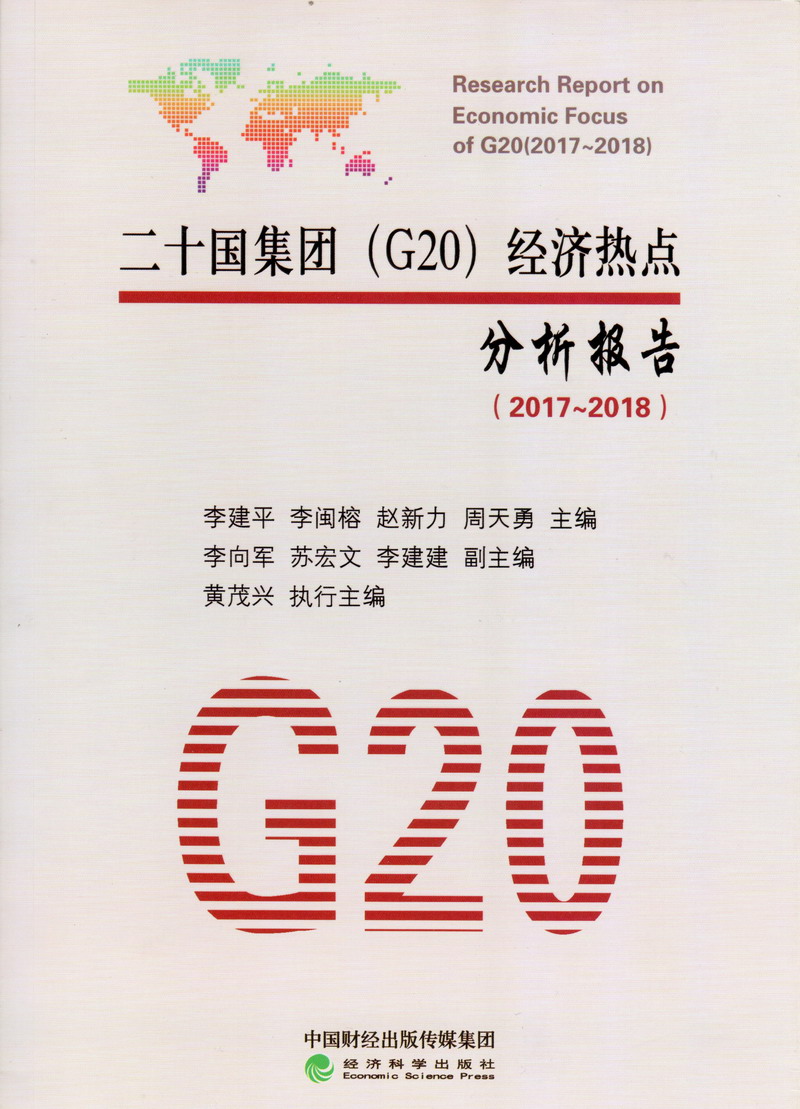 护士流白液二十国集团（G20）经济热点分析报告（2017-2018）